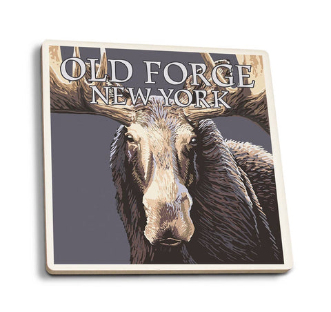 Moose Up Close Old Forge Coaster