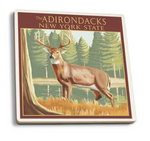 Adirondack State Park Deer Coaster